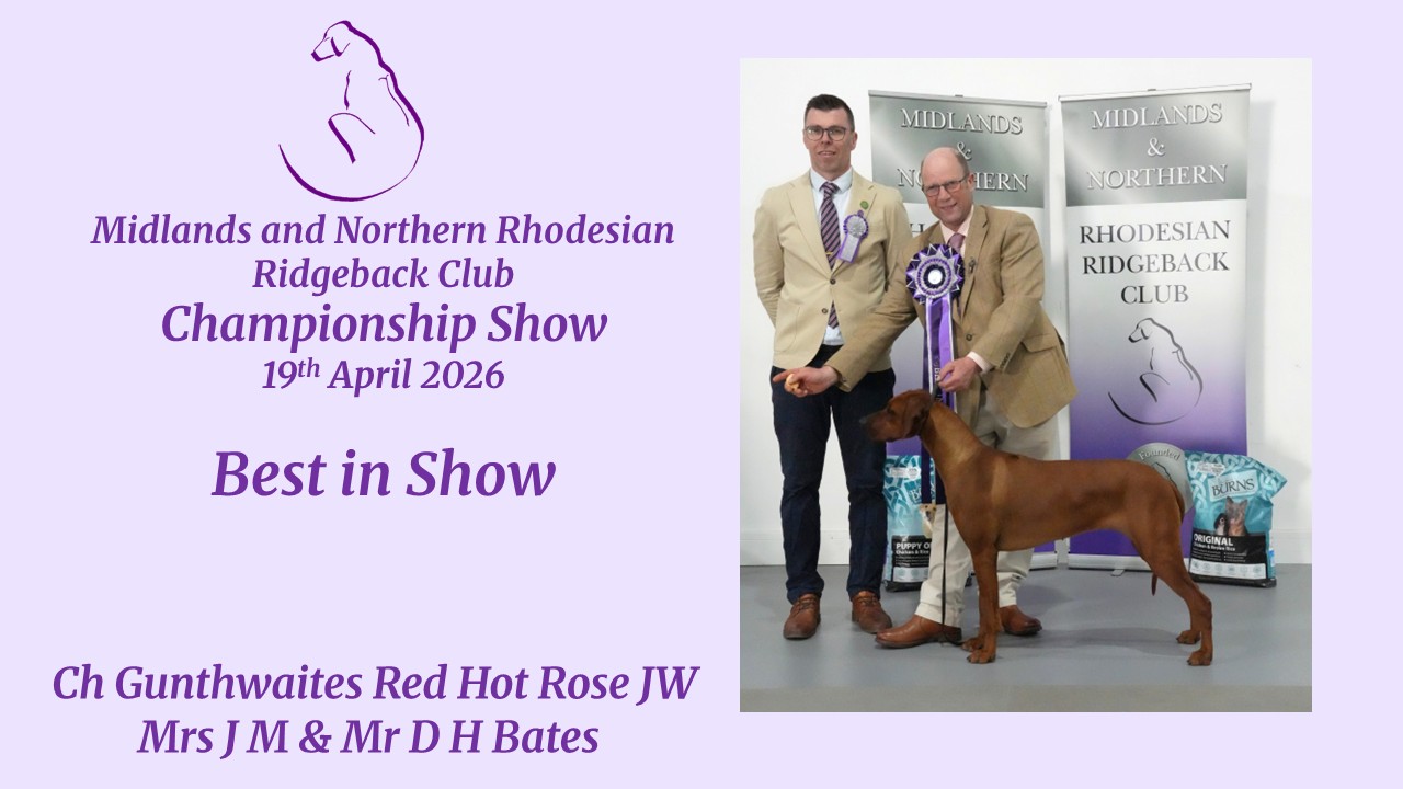Spring Championship Show April 2026 - Judge's Critique